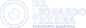 leonardo teixeira logo